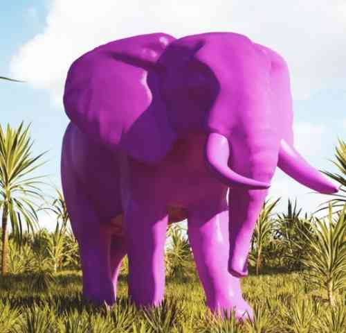 elefante viola