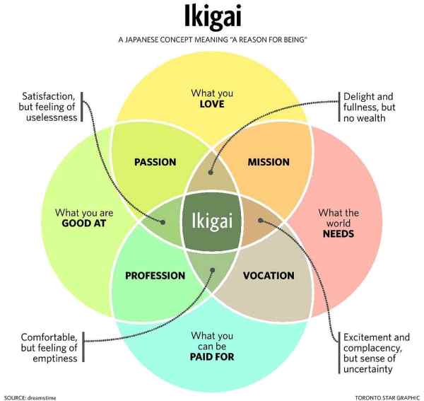 modello ikigai