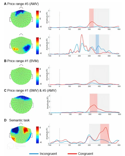 MEG/EEG maps and traces of N400/M400 responses to congruent and incongruent prices in a neuromarketing study