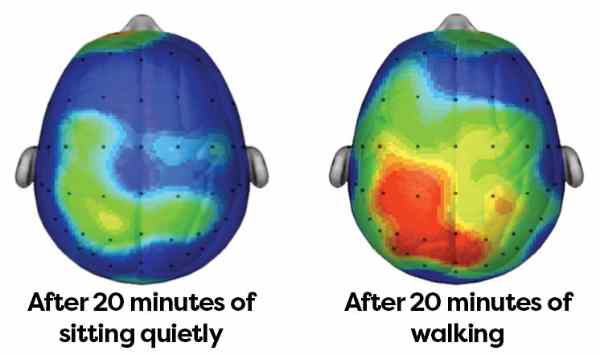 attività del cervello quando camminiamo
