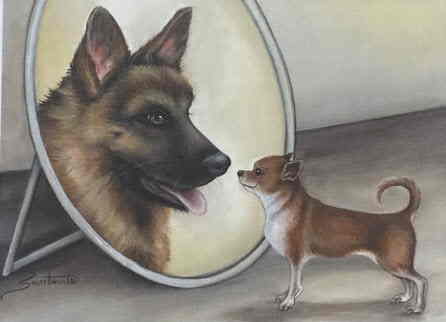 Cane allo specchio