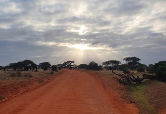 parco nazionale Tsavo Kenya